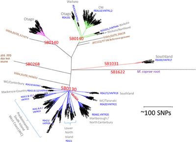 Whole Genome Sequencing for Determining the Source of Mycobacterium bovis Infections in Livestock Herds and Wildlife in New Zealand